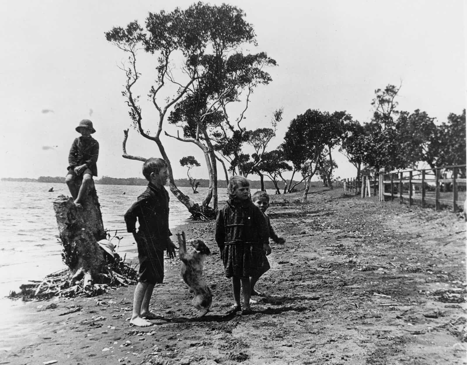A historical photo of the beach at Cribb Island | Lost Island Remembered