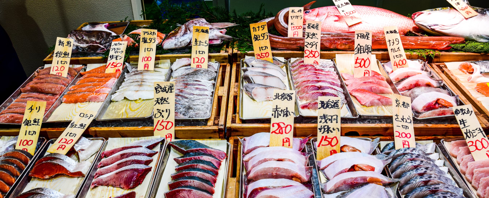 Tsukiji Fish Market Tokyo