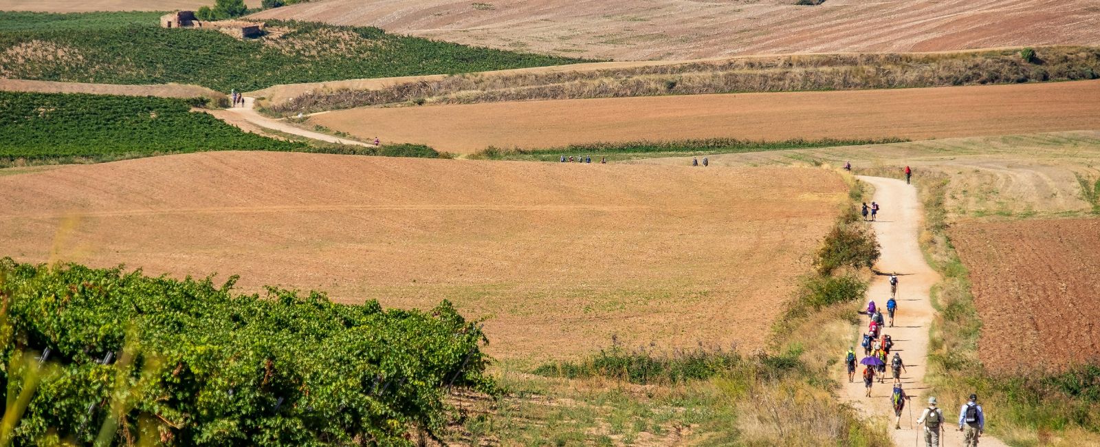 Camino De Santiago