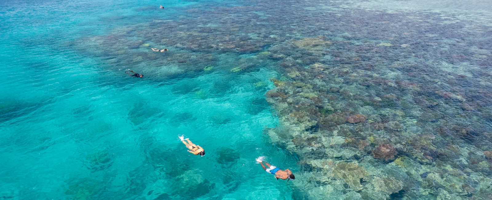 Snorkel Tour, Santo, Vanuatu
