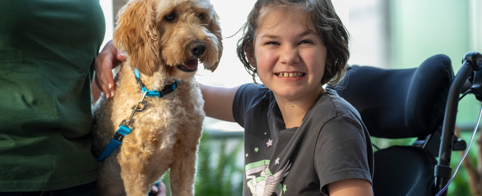 Animal Assisted Therapy