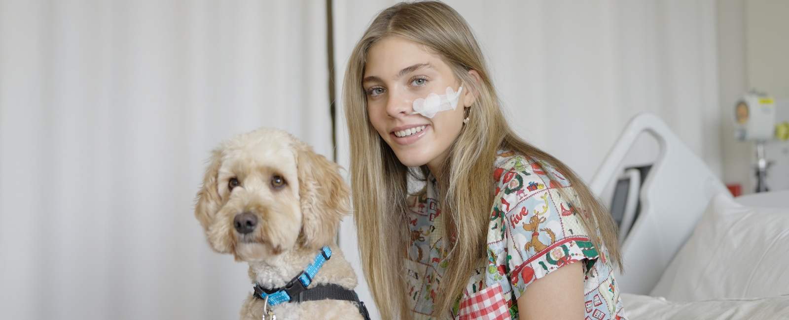 Therapy dog for animal assisted therapy