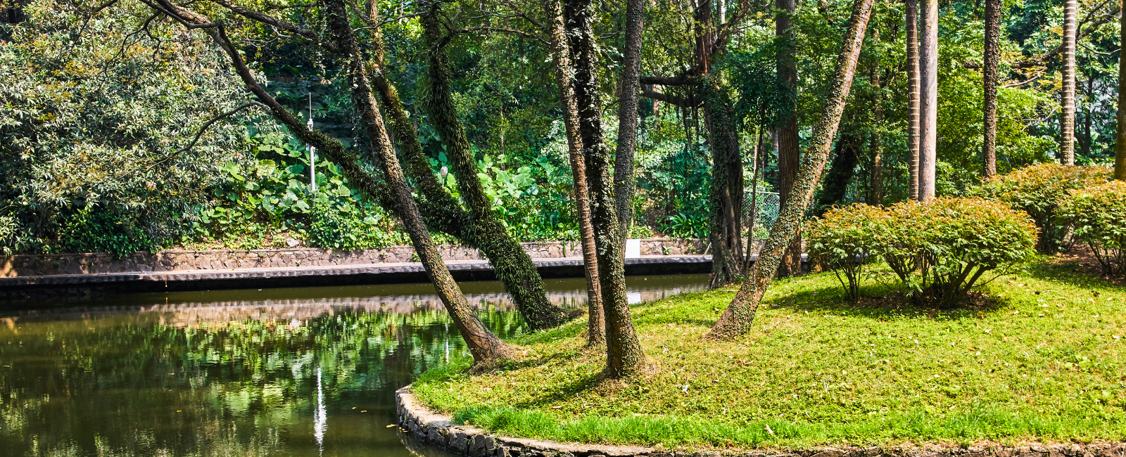 Yuexiu Park 