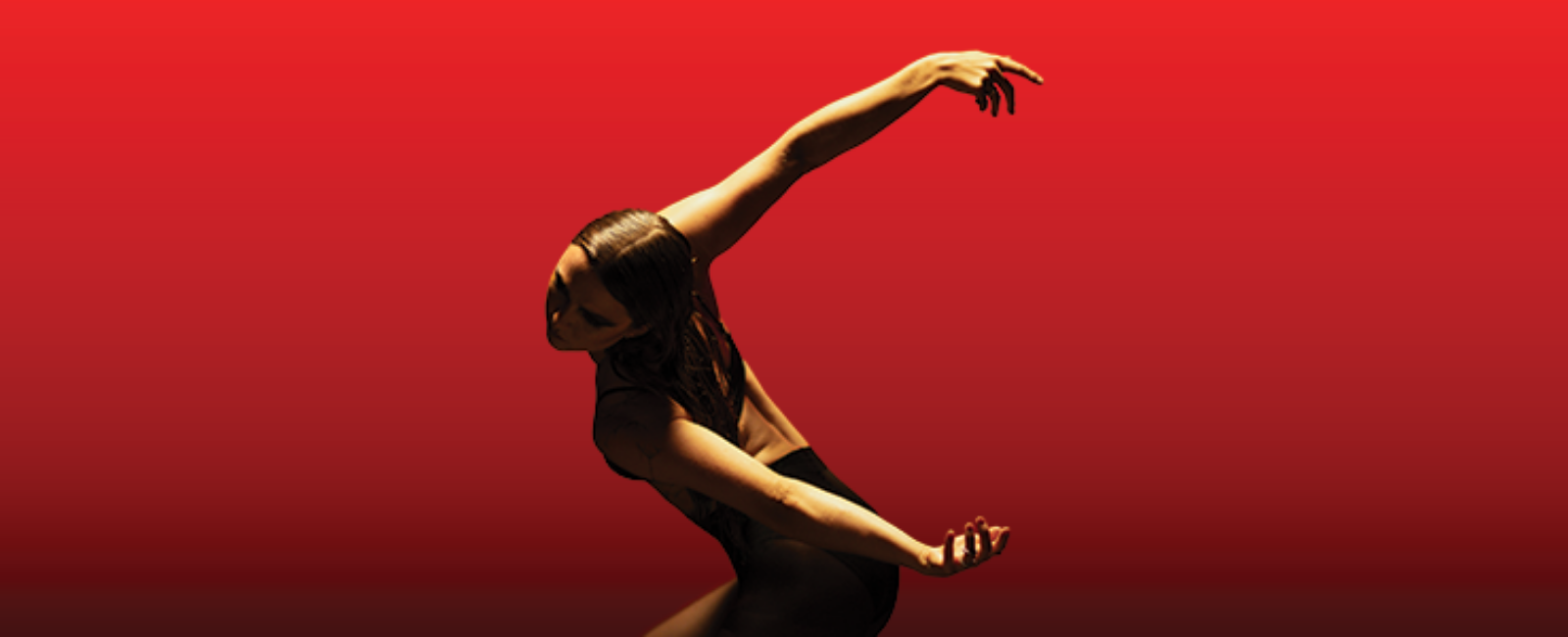 THREE, Australasian Dance Collective