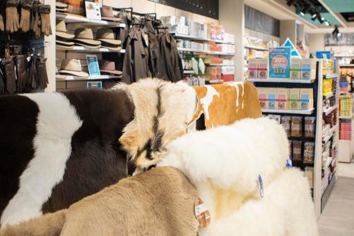 Australian Way Brisbane Airport