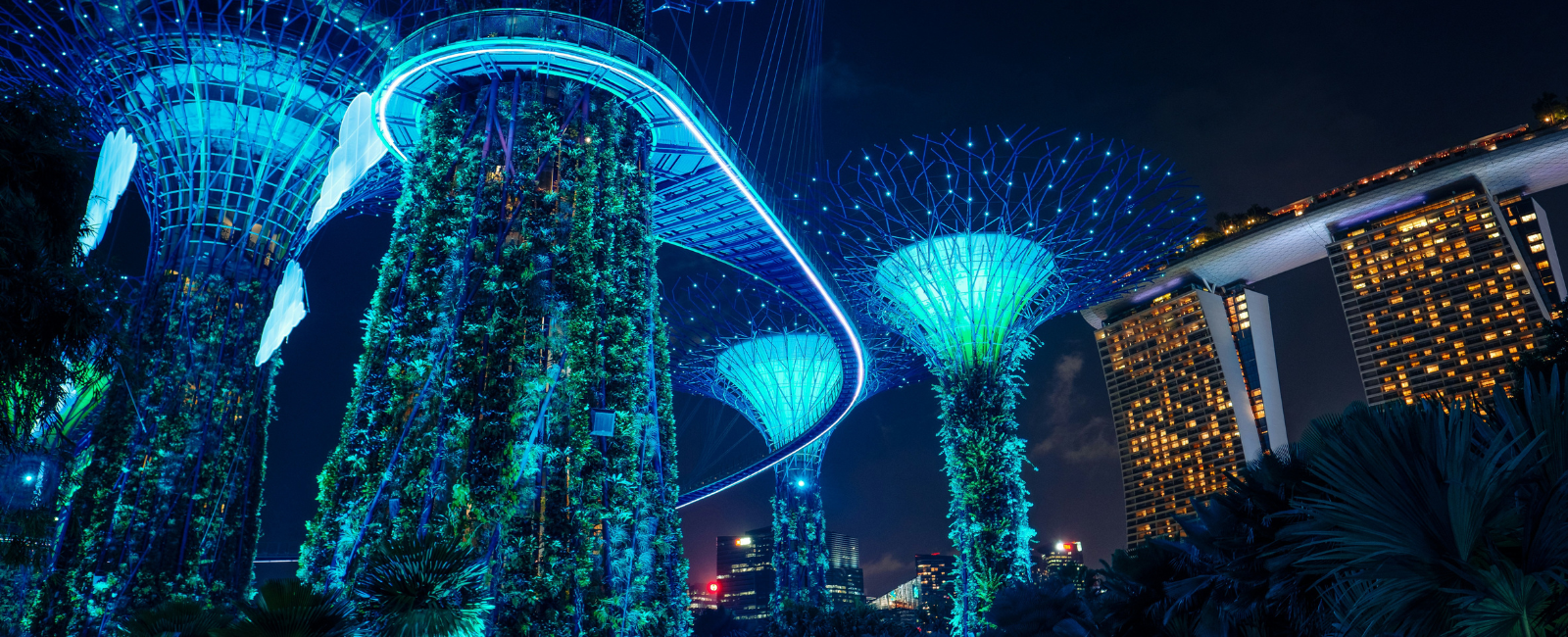Singapore Supertrees illuminated blue at night