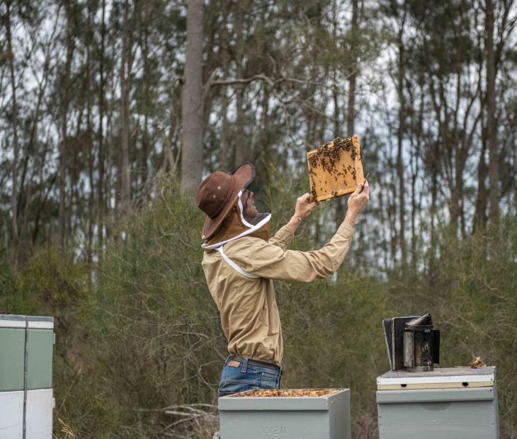 Jack Stone - Bee One Third