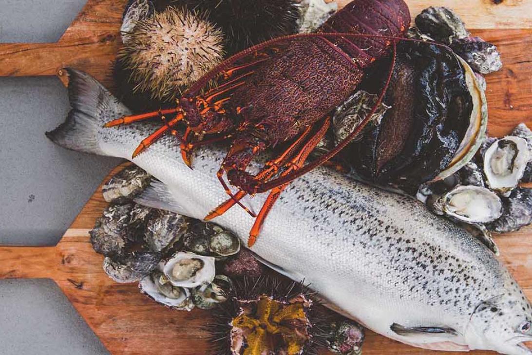 Seafood served fresh on a Tasmanian Wild Seafood Adventures tour | Seafood safari in Tasmania