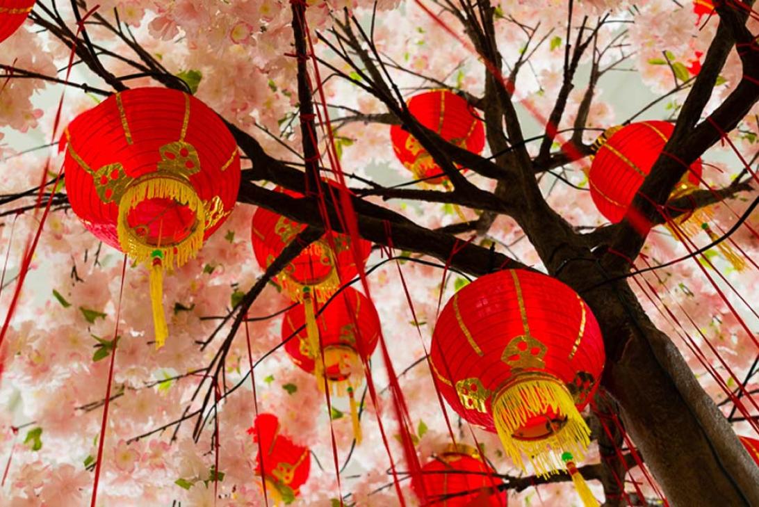 Lunar New Year celebrations in the International Terminal