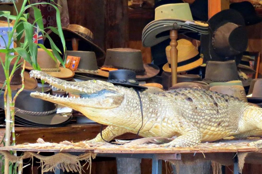 Crocodile in Kuranda markets