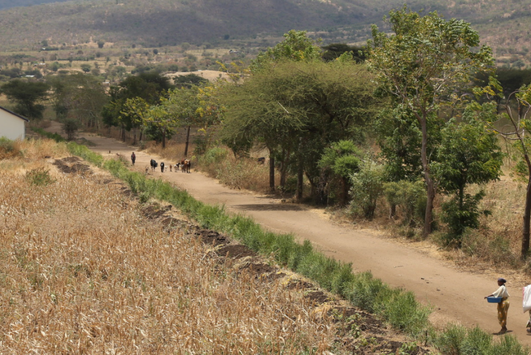 People walking down a road in Tanzania