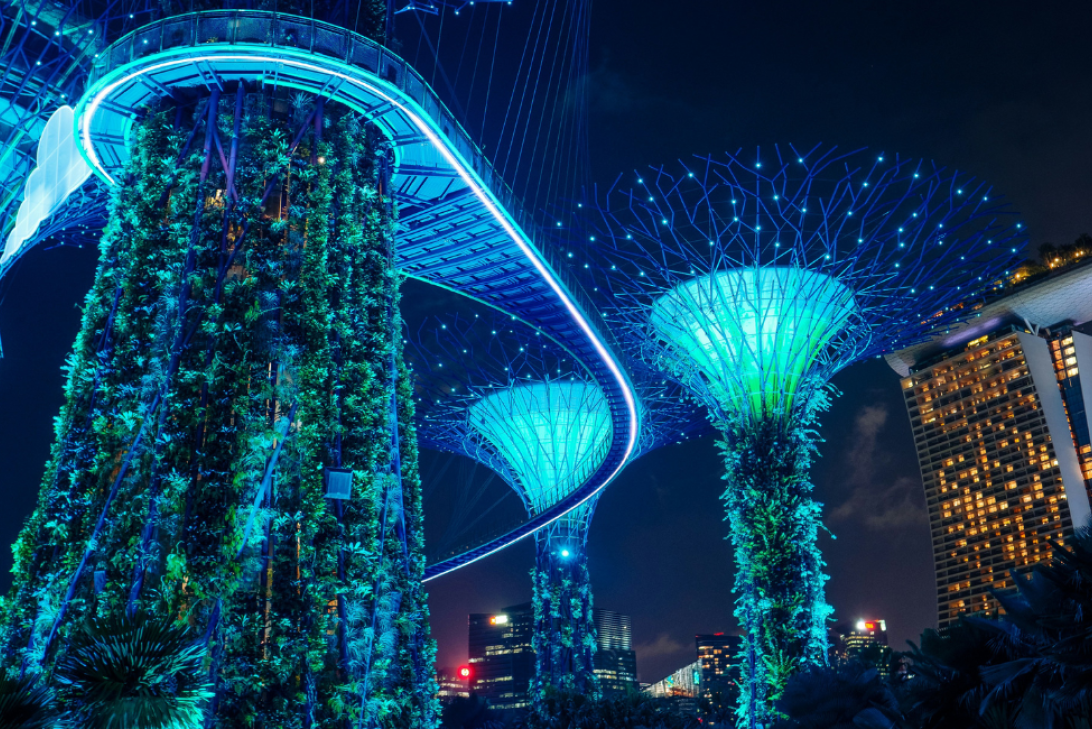 Singapore Supertrees illuminated blue at night
